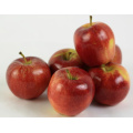 Chinese Sweet Taste Fresh Delicious Red huaniu apples wholesale